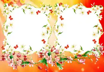 Efekt zdjęciowy z kategorii Różne № 4894