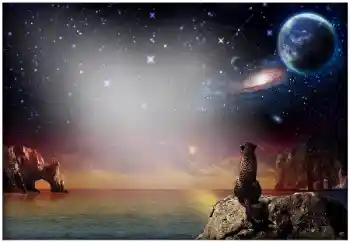 Efekt zdjęciowy z kategorii Różne № 49504