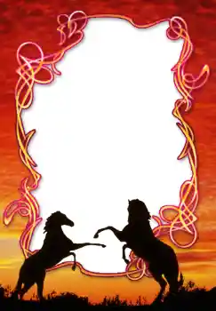 Efekt zdjęciowy z kategorii Różne № 49539