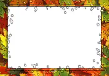 Efekt zdjęciowy z kategorii Różne № 49551