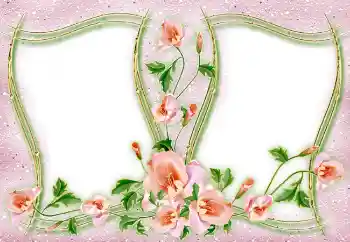 Efekt zdjęciowy z kategorii Różne № 4982