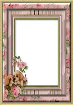 Efekt zdjęciowy z kategorii Różne № 50746