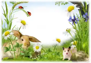 Efekt zdjęciowy z kategorii Różne № 50899