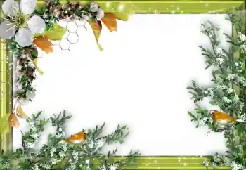 Efekt zdjęciowy z kategorii Różne № 52034