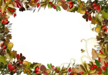 Efekt zdjęciowy z kategorii Różne № 52161