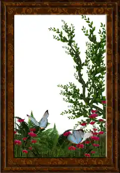 Efekt zdjęciowy z kategorii Różne № 52231