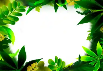 Efekt zdjęciowy z kategorii Różne № 56530