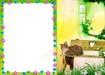 Efekt zdjęciowy z kategorii Różne № 579