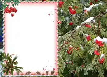 Efekt zdjęciowy z kategorii Różne № 581