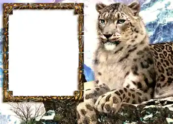 Efekt zdjęciowy z kategorii Różne № 585