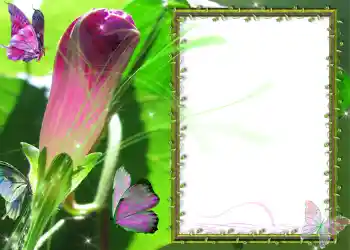 Efekt zdjęciowy z kategorii Różne № 586