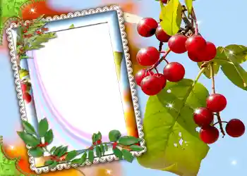 Efekt zdjęciowy z kategorii Różne № 587