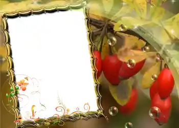 Efekt zdjęciowy z kategorii Różne № 588