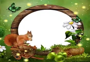 Efekt zdjęciowy z kategorii Różne № 59010