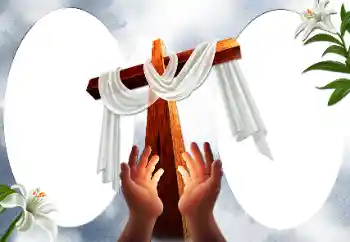 Efekt zdjęciowy z kategorii Różne № 59097