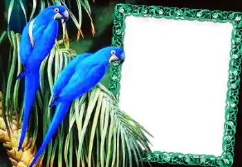 Efekt zdjęciowy z kategorii Różne № 60137