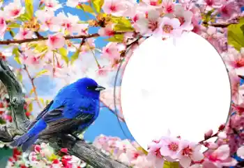 Efekt zdjęciowy z kategorii Różne № 60139