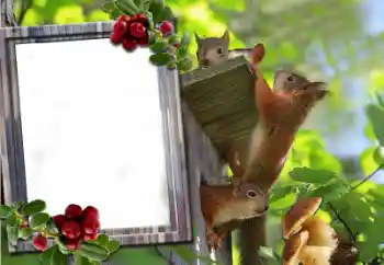 Efekt zdjęciowy z kategorii Różne № 60195