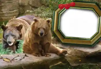 Efekt zdjęciowy z kategorii Różne № 60215