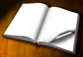 Efekt zdjęciowy z kategorii Różne № 60254