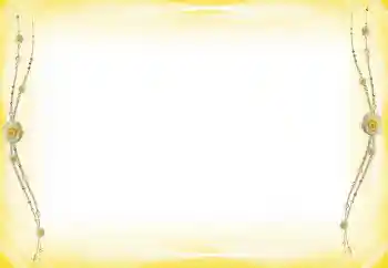 Efekt zdjęciowy z kategorii Różne № 60289