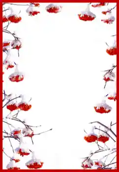 Efekt zdjęciowy z kategorii Różne № 60402