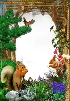 Efekt zdjęciowy z kategorii Różne № 61573