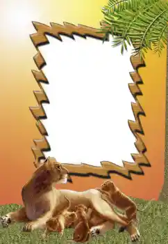 Efekt zdjęciowy z kategorii Różne № 62681