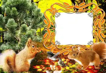 Efekt zdjęciowy z kategorii Różne № 64207