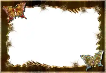 Efekt zdjęciowy z kategorii Różne № 64448