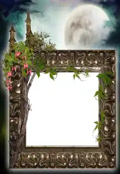 Efekt zdjęciowy z kategorii Różne № 64455