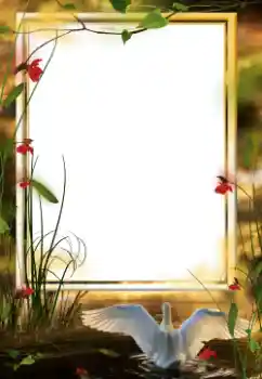 Efekt zdjęciowy z kategorii Różne № 64458