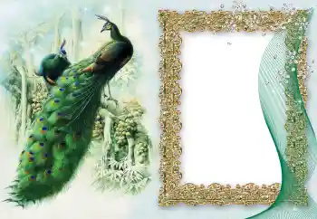 Efekt zdjęciowy z kategorii Różne № 64460