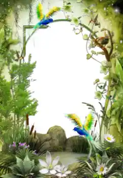 Efekt zdjęciowy z kategorii Różne № 64461