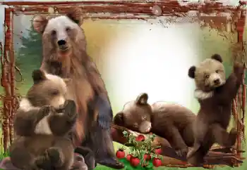 Efekt zdjęciowy z kategorii Różne № 64467