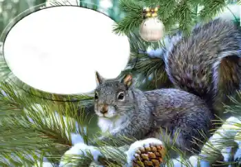 Efekt zdjęciowy z kategorii Różne № 65735