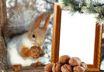 Efekt zdjęciowy z kategorii Różne № 65737