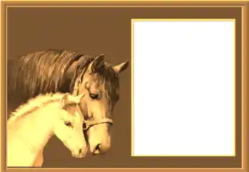 Efekt zdjęciowy z kategorii Różne № 67145