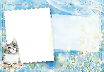 Efekt zdjęciowy z kategorii Różne № 67194