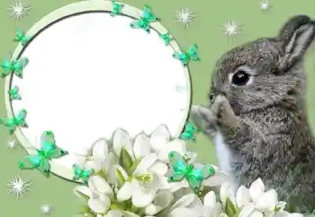 Efekt zdjęciowy z kategorii Różne № 67247 Efekt zdjęciowy z kategorii Różne № 67247