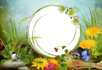 Efekt zdjęciowy z kategorii Różne № 68455