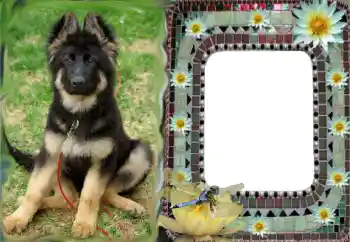 Efekt zdjęciowy z kategorii Różne № 68616