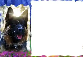 Efekt zdjęciowy z kategorii Różne № 68617