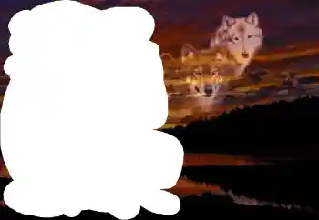 Efekt zdjęciowy z kategorii Różne № 68625