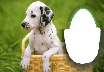 Efekt zdjęciowy z kategorii Różne № 68648