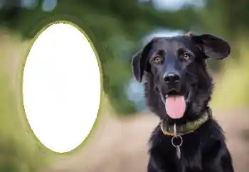 Efekt zdjęciowy z kategorii Różne № 68649