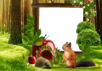 Efekt zdjęciowy z kategorii Różne № 68650