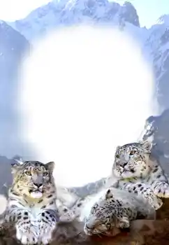 Efekt zdjęciowy z kategorii Różne № 68679