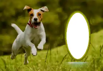 Efekt zdjęciowy z kategorii Różne № 68744 Efekt zdjęciowy z kategorii Różne № 68744