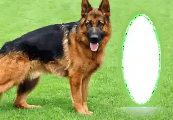 Efekt zdjęciowy z kategorii Różne № 68745 Efekt zdjęciowy z kategorii Różne № 68745